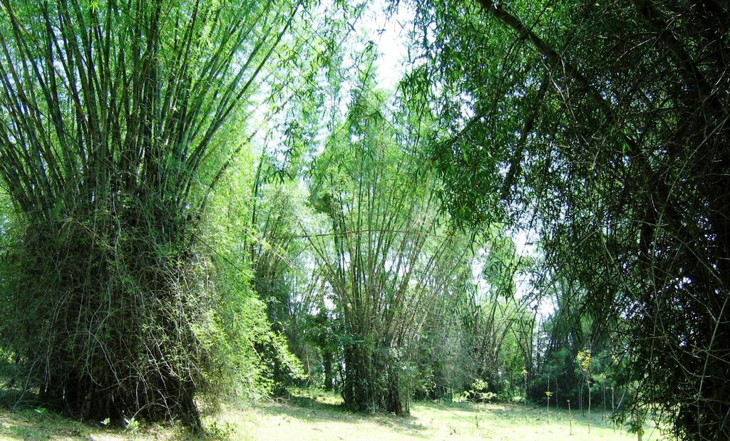 Marg Stream Valley Витірі Екстер'єр фото
